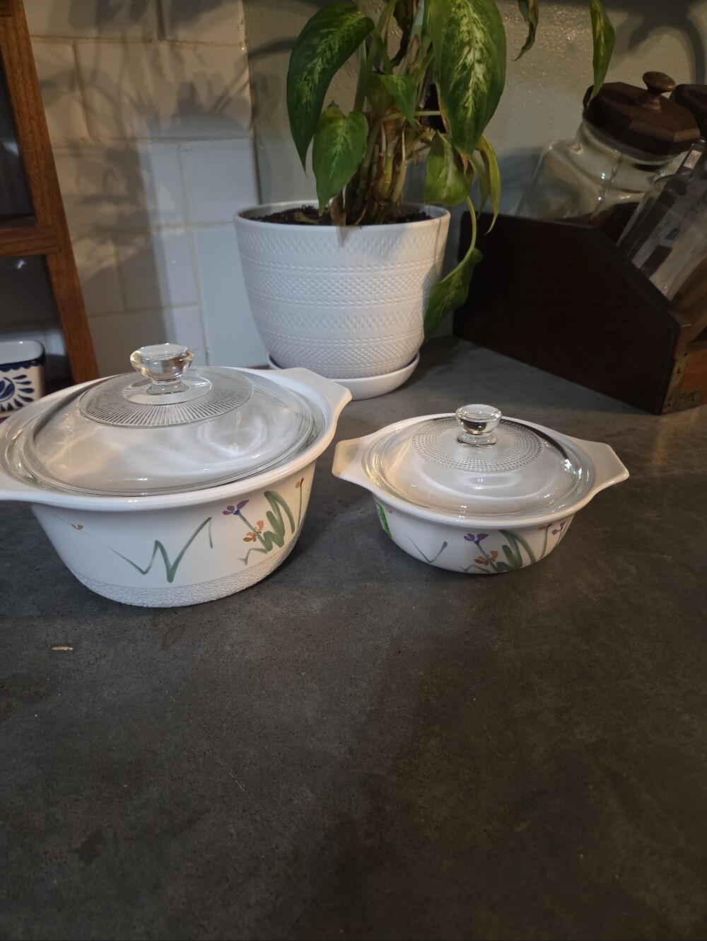 Mikasa Fire & Ice 1.25qt, 1pt. Casserole Dishes With Lids.  AA001 Sketch Book.